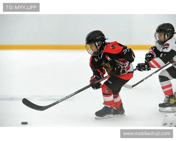 冰球突破豪华版网站常见问题解答与客服支持服务指南