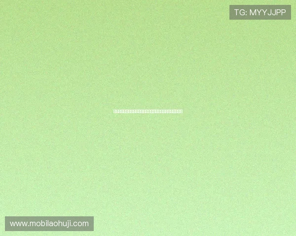 如何选择适合自己的单机老虎机游戏，提升游戏体验的实用攻略