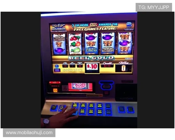 优乐电子老虎机多样玩法，满足不同玩家的娱乐需求