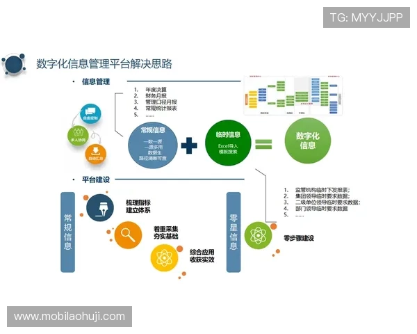 多宝电子集团推动数字化转型的具体措施与未来发展方向